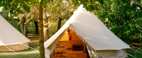 glamping - glamour camping